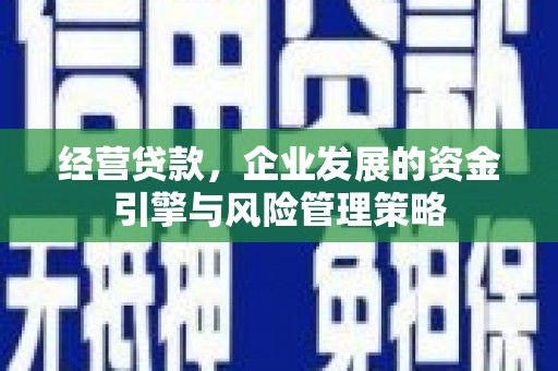 南宁经营贷款，企业发展的资金引擎与风险管理策略