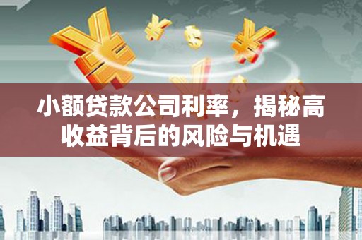 南宁小额贷款公司利率，揭秘高收益背后的风险与机遇