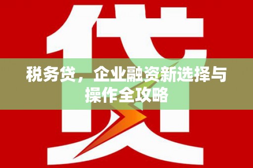 南宁税务贷，企业融资新选择与操作全攻略