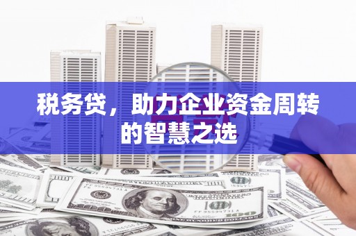 南宁税务贷，助力企业资金周转的智慧之选