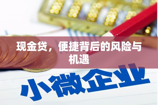 南宁现金贷，便捷背后的风险与机遇