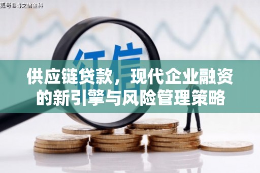 南宁供应链贷款，现代企业融资的新引擎与风险管理策略