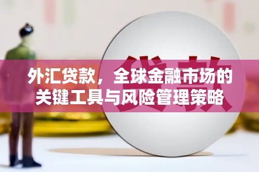 南宁外汇贷款，全球金融市场的关键工具与风险管理策略