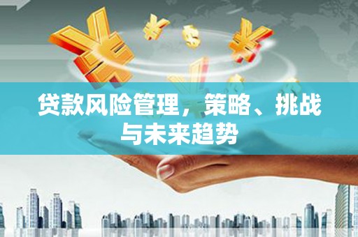 南宁贷款风险管理，策略、挑战与未来趋势