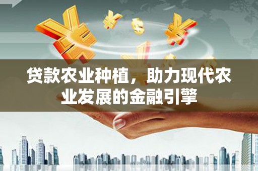 南宁贷款农业种植，助力现代农业发展的金融引擎