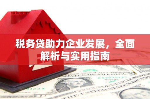 南宁税务贷助力企业发展，全面解析与实用指南