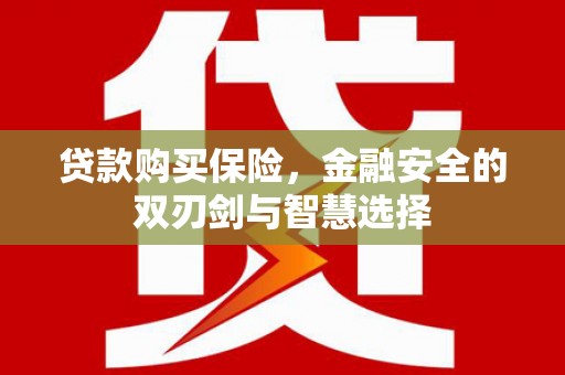 南宁贷款购买保险，金融安全的双刃剑与智慧选择