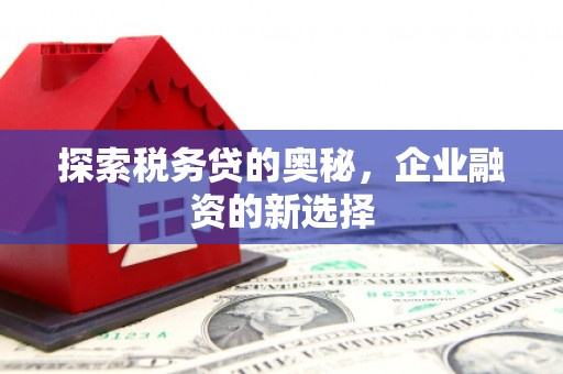 南宁探索税务贷的奥秘，企业融资的新选择
