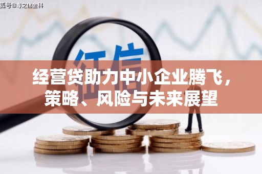 南宁经营贷助力中小企业腾飞，策略、风险与未来展望