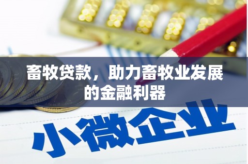 南宁畜牧贷款，助力畜牧业发展的金融利器