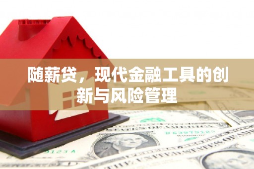 南宁随薪贷，现代金融工具的创新与风险管理