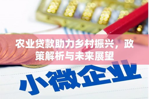 南宁农业贷款助力乡村振兴，政策解析与未来展望