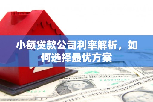 南宁小额贷款公司利率解析，如何选择最优方案