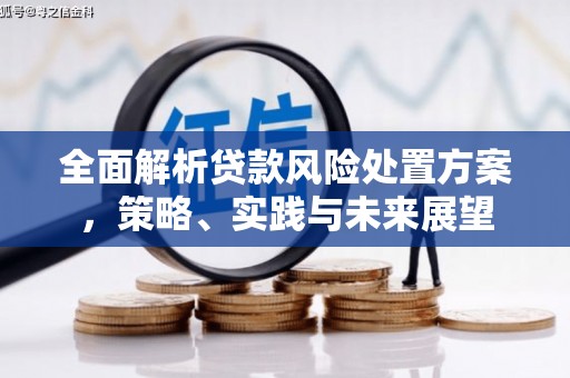 南宁全面解析贷款风险处置方案，策略、实践与未来展望