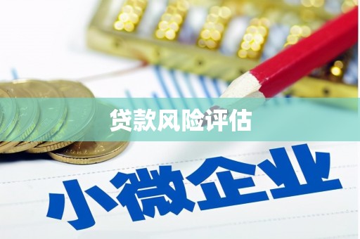 南宁贷款风险评估