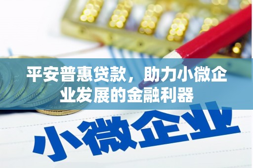 南宁平安普惠贷款，助力小微企业发展的金融利器