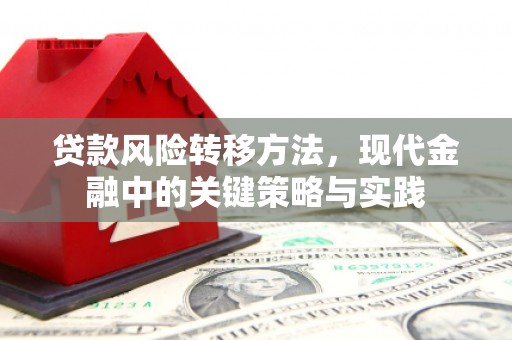 南宁贷款风险转移方法，现代金融中的关键策略与实践