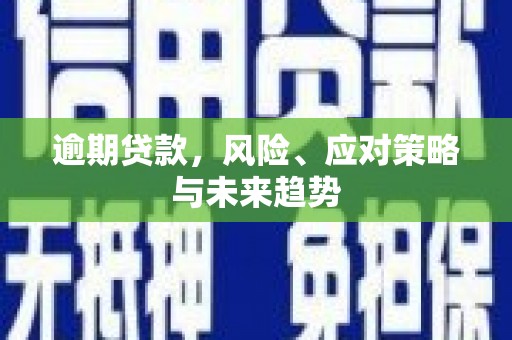 南宁逾期贷款，风险、应对策略与未来趋势