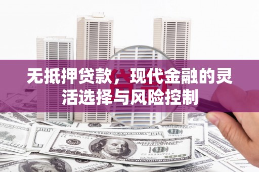 南宁无抵押贷款，现代金融的灵活选择与风险控制