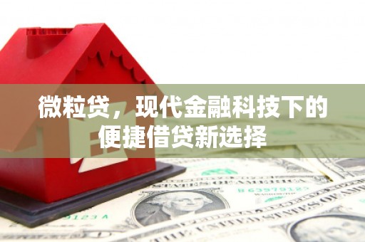 南宁微粒贷，现代金融科技下的便捷借贷新选择