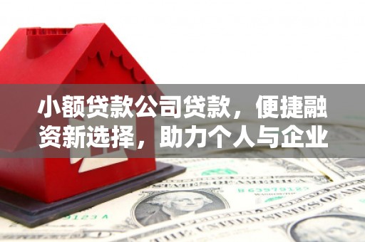 南宁小额贷款公司贷款，便捷融资新选择，助力个人与企业成长