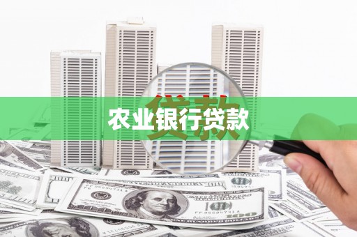 南宁农业银行贷款