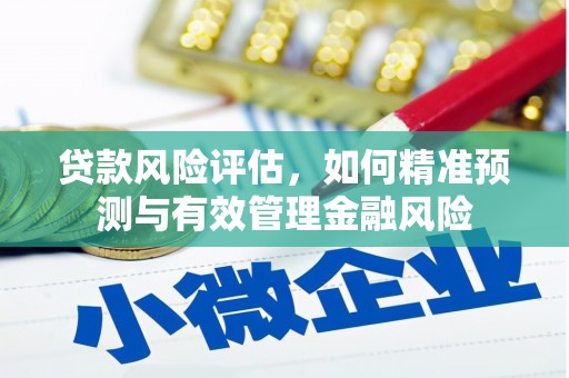 南宁贷款风险评估，如何精准预测与有效管理金融风险