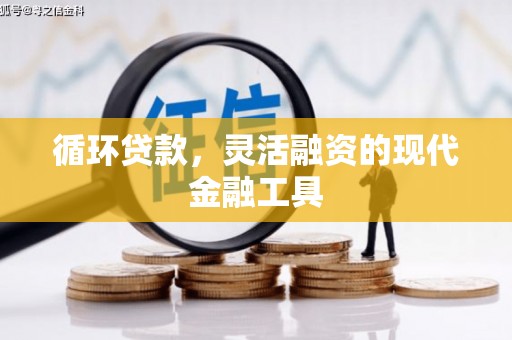 南宁循环贷款，灵活融资的现代金融工具