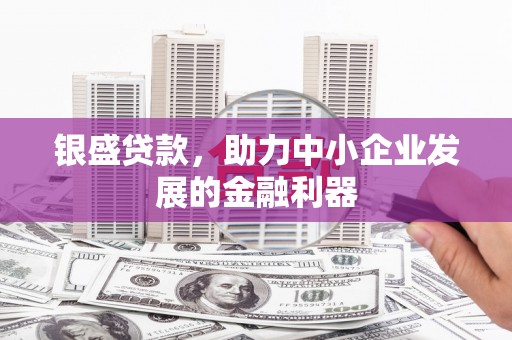 南宁银盛贷款，助力中小企业发展的金融利器