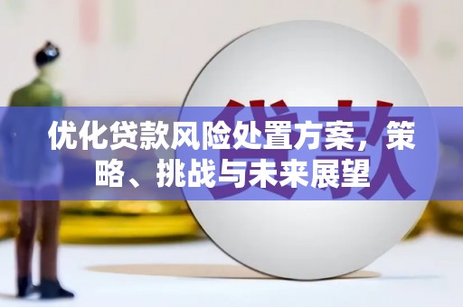 南宁优化贷款风险处置方案，策略、挑战与未来展望