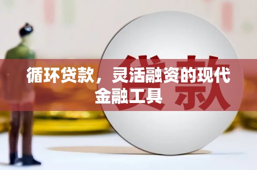 南宁循环贷款，灵活融资的现代金融工具