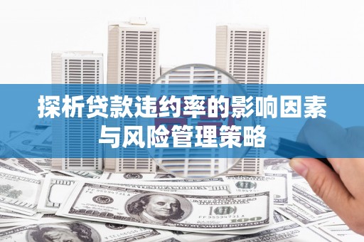 南宁探析贷款违约率的影响因素与风险管理策略