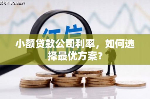 南宁小额贷款公司利率，如何选择最优方案？