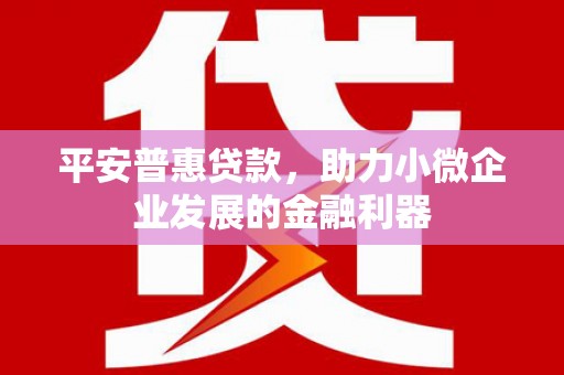 南宁平安普惠贷款，助力小微企业发展的金融利器