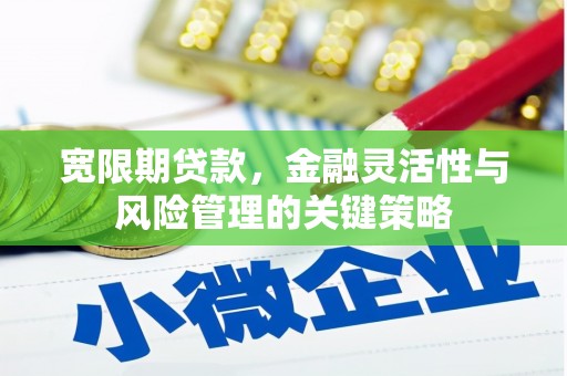 南宁宽限期贷款，金融灵活性与风险管理的关键策略