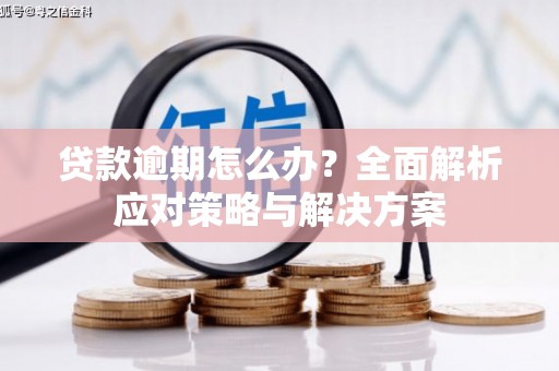 南宁贷款逾期怎么办？全面解析应对策略与解决方案