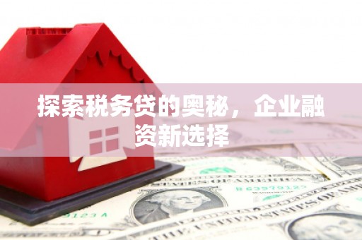 南宁探索税务贷的奥秘，企业融资新选择