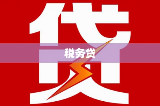 南宁税务贷