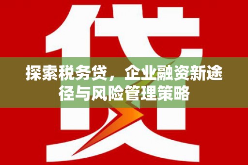南宁探索税务贷，企业融资新途径与风险管理策略