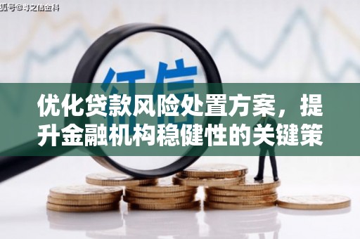 南宁优化贷款风险处置方案，提升金融机构稳健性的关键策略