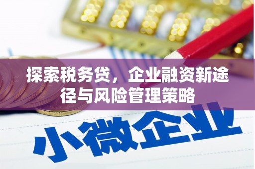 南宁探索税务贷，企业融资新途径与风险管理策略