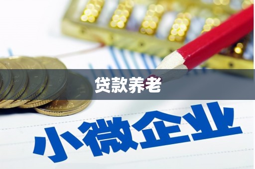 南宁贷款养老