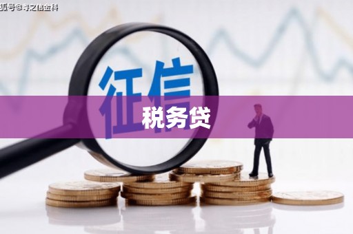 南宁税务贷