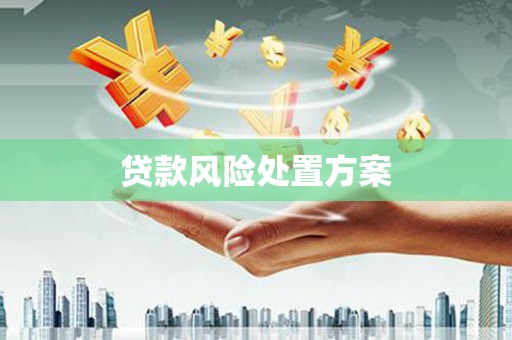 南宁贷款风险处置方案