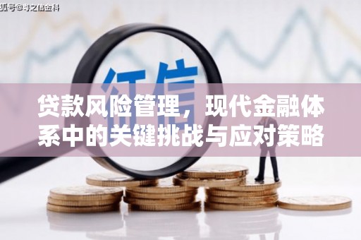 南宁贷款风险管理，现代金融体系中的关键挑战与应对策略