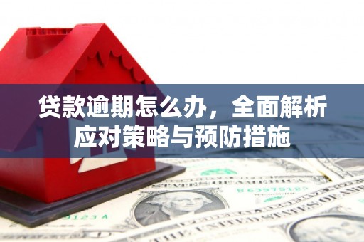 南宁贷款逾期怎么办，全面解析应对策略与预防措施