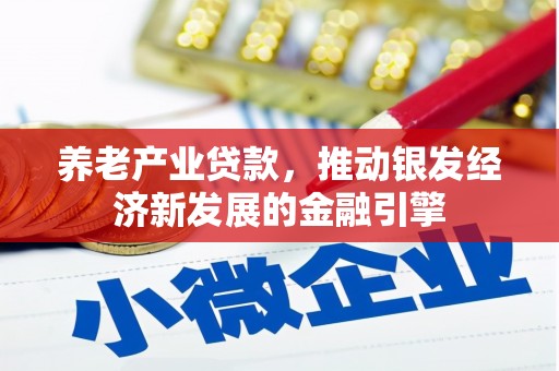 南宁养老产业贷款，推动银发经济新发展的金融引擎