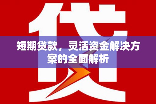 南宁短期贷款，灵活资金解决方案的全面解析