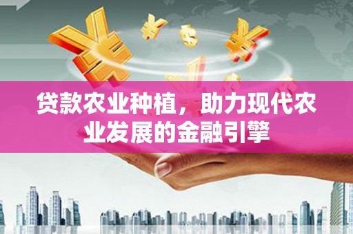 南宁贷款农业种植，助力现代农业发展的金融引擎