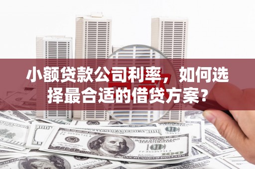 南宁小额贷款公司利率，如何选择最合适的借贷方案？
